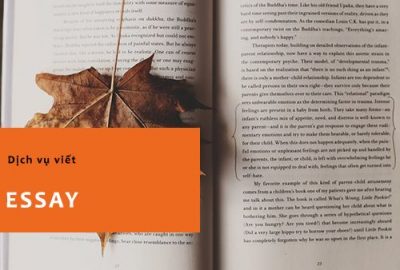 Dịch vụ viết Essay – viết Tiểu Luận tiếng anh