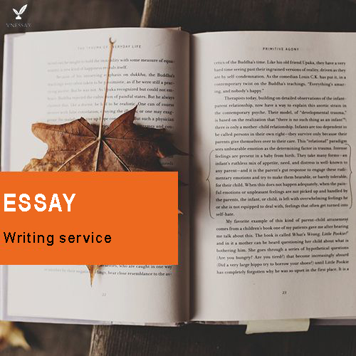 Essay writing service - VnEssay